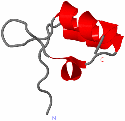 Image NMR Structure - model 1