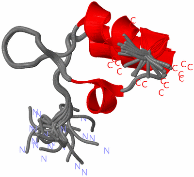 Image NMR Structure - all models