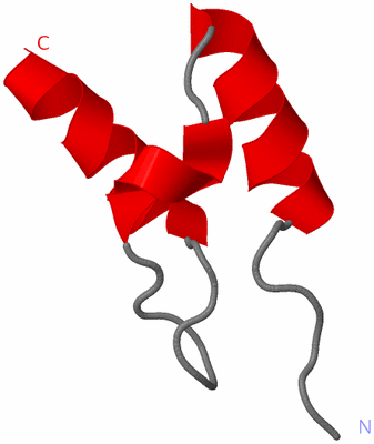 Image NMR Structure - model 1