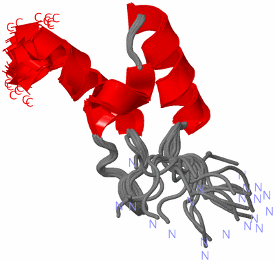 Image NMR Structure - all models