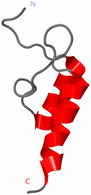 Image NMR Structure - model 1