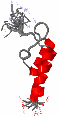 Image NMR Structure - all models