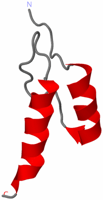 Image NMR Structure - model 1