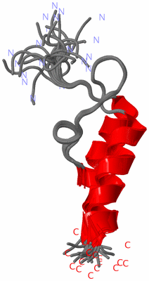 Image NMR Structure - all models