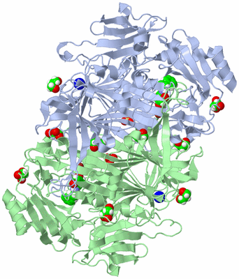 Image Asym./Biol. Unit