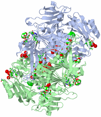 Image Asym./Biol. Unit - sites