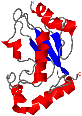 Image NMR Structure - model 1