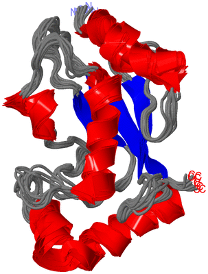 Image NMR Structure - all models