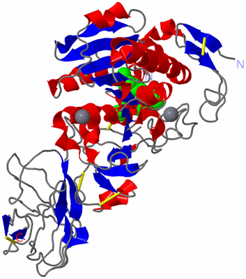 Image Asym./Biol. Unit