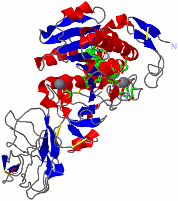 Image Asym./Biol. Unit - sites