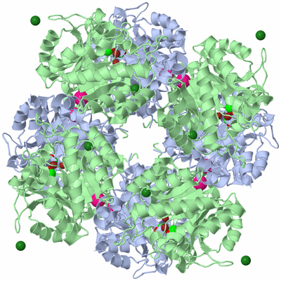 Image Biological Unit 1