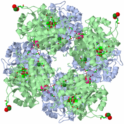 Image Biol. Unit 1 - sites