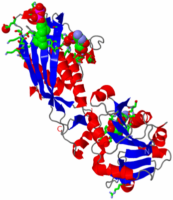 Image Asym. Unit - sites