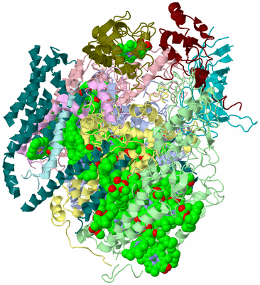 Image Biological Unit 1