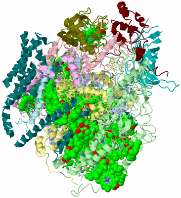 Image Biol. Unit 1 - sites