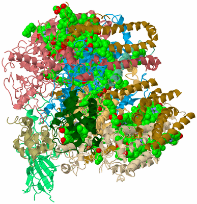 Image Biological Unit 2