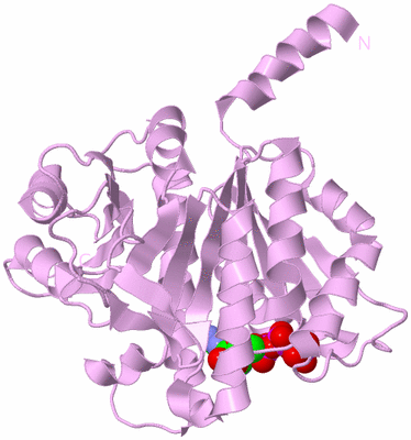 Image Biological Unit 5