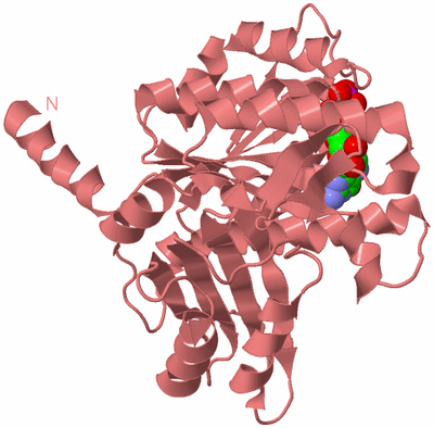 Image Biological Unit 8