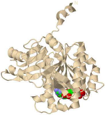 Image Biological Unit 9