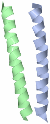 Image Asymmetric Unit