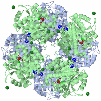 Image Biological Unit 1