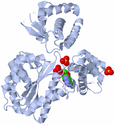 Image Biological Unit 1