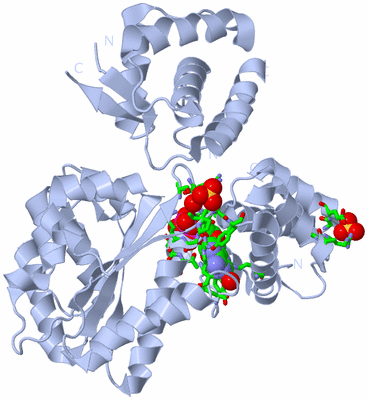 Image Biol. Unit 1 - sites