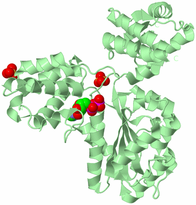 Image Biological Unit 2