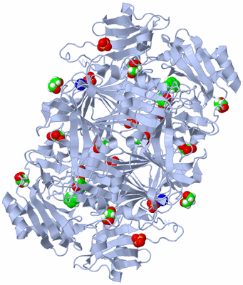 Image Biological Unit 1