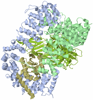 Image Biological Unit 1