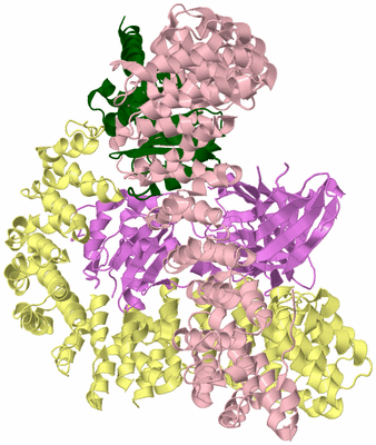 Image Biological Unit 2