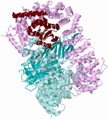 Image Biological Unit 3