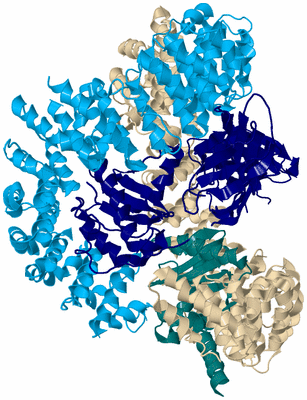 Image Biological Unit 4