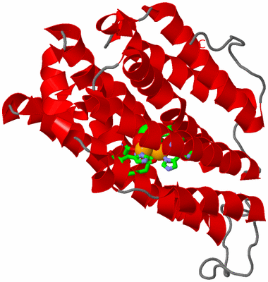 Image Asym. Unit - sites