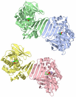 Image Asymmetric Unit