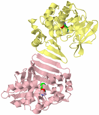 Image Biological Unit 2