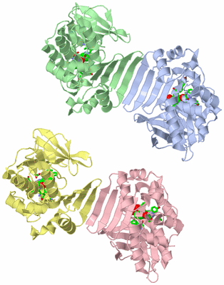 Image Asym. Unit - sites