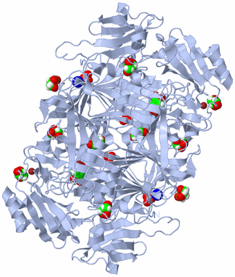 Image Biological Unit 1