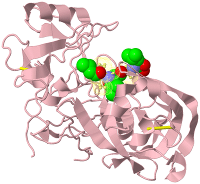 Image Biological Unit 2