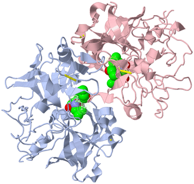 Image Biological Unit 3