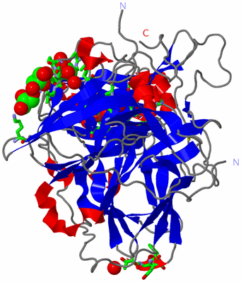 Image Asym./Biol. Unit - sites