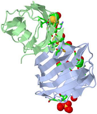 Image Asym./Biol. Unit - sites