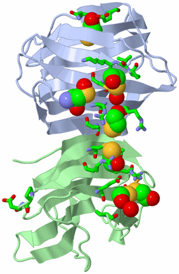 Image Asym./Biol. Unit - sites