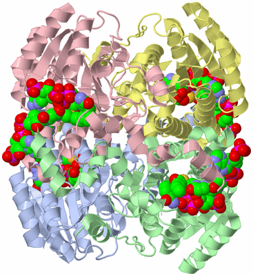 Image Asym./Biol. Unit