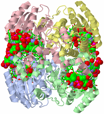 Image Asym./Biol. Unit - sites