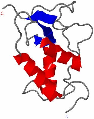 Image NMR Structure - model 1