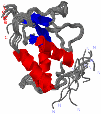 Image NMR Structure - all models