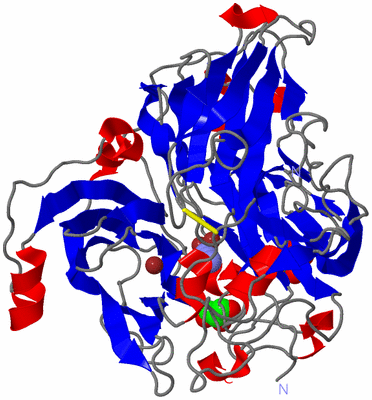 Image Asym./Biol. Unit