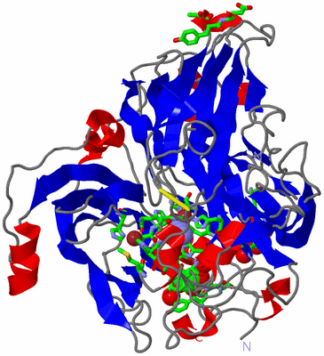 Image Asym./Biol. Unit - sites