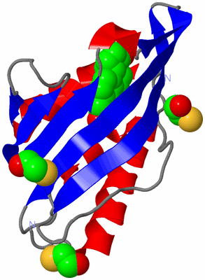 Image Asymmetric Unit